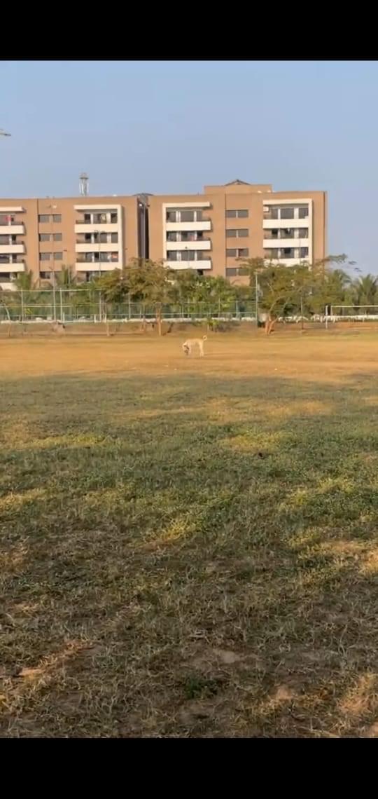 XIM University General photo 2